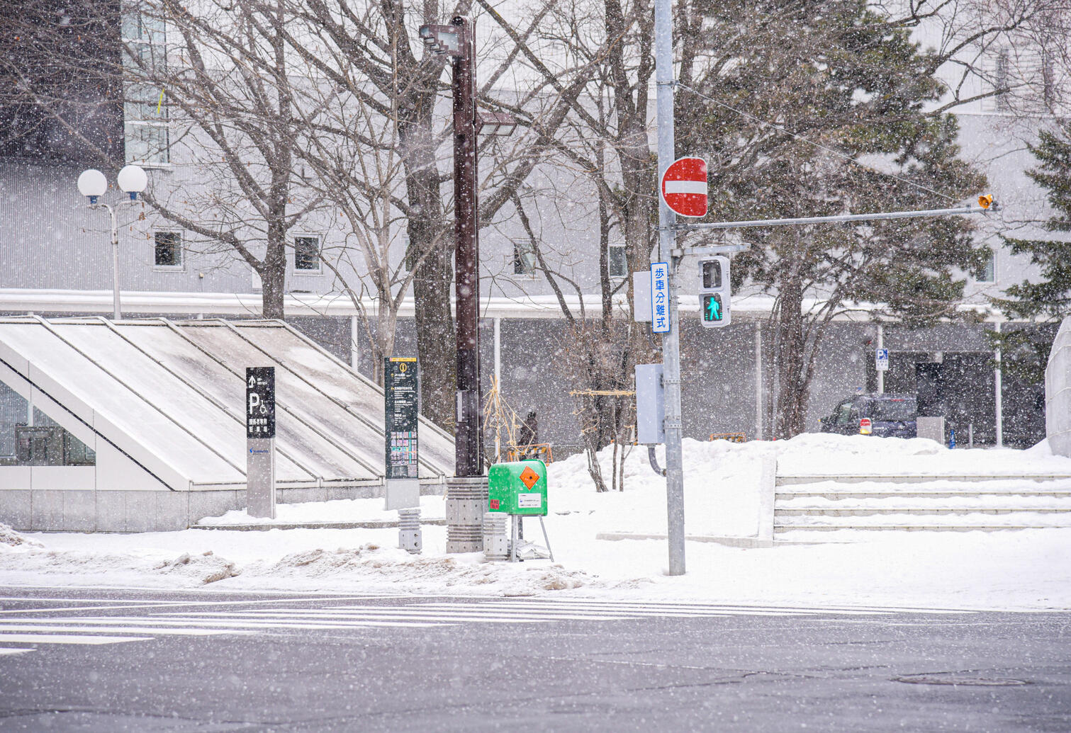 Untitled snow storm